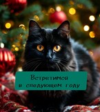 Встретимся в следующем году (Настасия Ермаkkk)