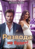 Развода не будет! (Велена Князь)