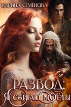 Развод: я сжигаю мосты (Карина Семёнова)