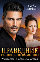 Праведник. Ты меня не помнишь (Софи Сорель)