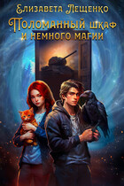 Поломанный шкаф и немного магии (Елизавета Лещенко)