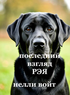 Последний взгляд Рэя (Нелли Войт)