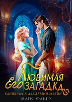 Его любимая загадка. Каникулы в Академии Магии (Майя Фабер)