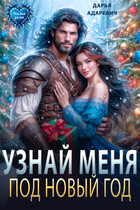 Узнай меня под Новый Год (Дарья Адаревич)
