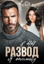Развод в 44. Я отомщу (Юля Шеффер)