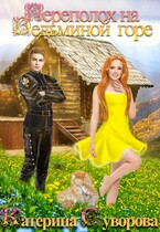 Переполох на Ведьминой горе (Катерина Суворова)