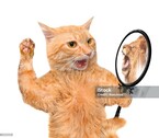 Испорченный праздник или один день из жизни кота Кузьмы (Fantanella)