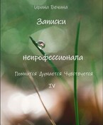 Записки непрофессионала. Помнится. Думается. Чувствуется. (Ирина Бечина)