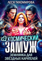 Космический замуж. Землянка для звездных карателей (Леся Тихомирова)