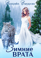 Зимние врата (Екатерина Елизарова)
