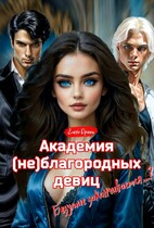 Академия (не)благородных девиц. Безумие заканчивается…? (Елена Дриим)