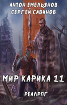 Мир Карика 11. Тайна Кота (Антон Емельянов и Сергей Савинов)