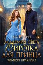 Академия света. Сиротка для принца. Зимняя практика (Касия Рин)