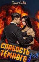 Слабость для Тёмного (Сэлли Собер)