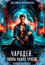 Чародей. Оковы наших чувств (Аселина Арсеньева)
