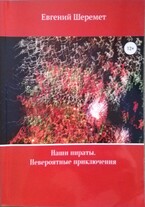 Наши пираты. Невероятные приключения (Евгений Шеремет)