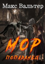 МОР Попаданец (Макс Вальтер)