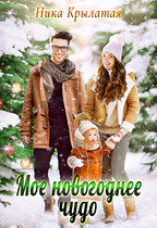 Моё новогоднее чудо (Ника Крылатая)