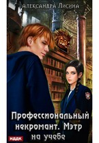 Профессиональный некромант. Книга 2. Мэтр на учебе (Лисина Александра)