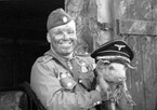 Не многие вернулись с поля… (Андрей Ланиус)