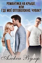 Романтика на крыше, или Где моё оптоволокно, чувак? (Алекса Вулф)