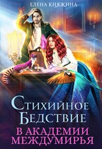 Стихийное бедствие в Академии Междумирья (Елена Княжина)