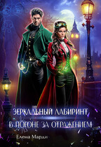 Зеркальный лабиринт. В погоне за отражением (Елена Марди)