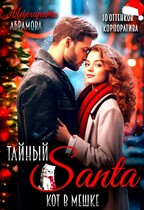 Тайный Санта. Кот в мешке (Маргарита Абрамова)