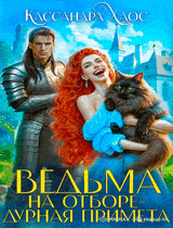 Ведьма на отборе — дурная примета (Елена Саттэр)